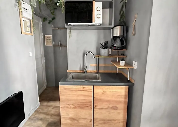 Jungle Design, WiFi Fibre, 20min Paris * Neuilly-Plaisance
